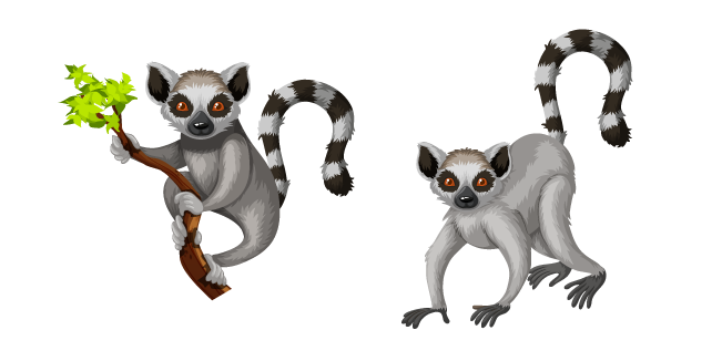 Madagascar Lemurs