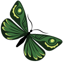 Malachite Green Butterflies pointer