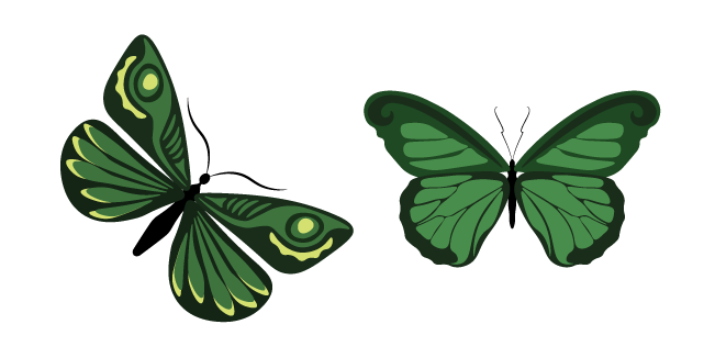 Malachite Green Butterflies