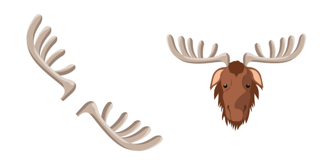 Moose