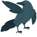 Northern Raven pointer