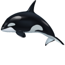 Orca aka Killer Whale cursor
