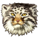 Pallas's Cat aka Manul pointer