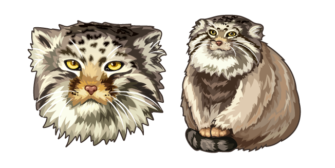 Pallas's Cat aka Manul