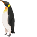 Penguin pointer