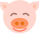 Pig cursor