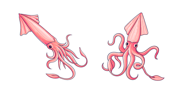 Pink Squid