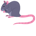 Rat cursor