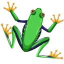 Red-Eyed Tree Frog pointer