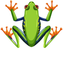 Red-Eyed Tree Frog cursor