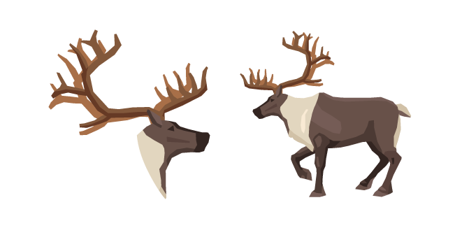 Reindeer