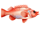 Rockfish cursor