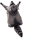 Silly Raccoons pointer