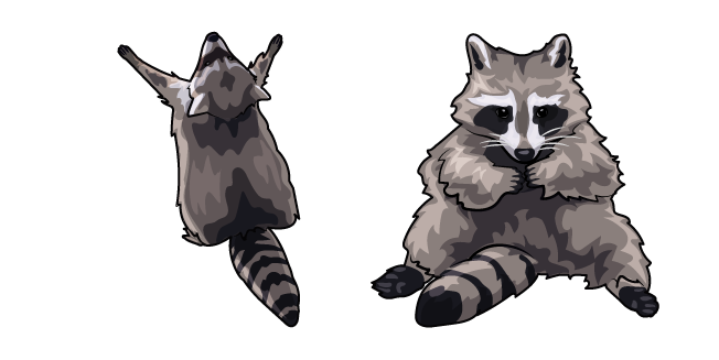Silly Raccoons