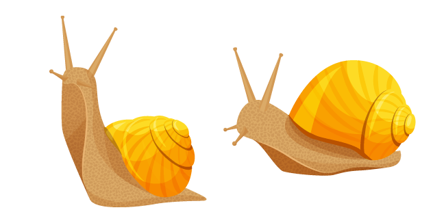 Snail