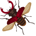 Stag Beetle pointer