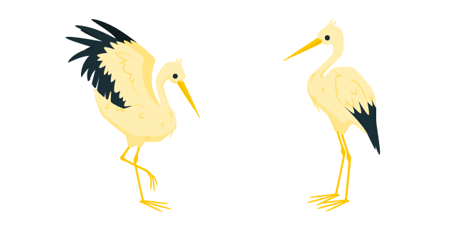 Stork