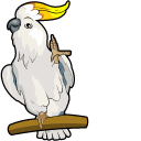 Sulphur-Crested Cockatoo cursor