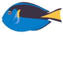 Surgeonfish cursor