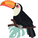 Toucans pointer