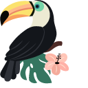 Toucans cursor