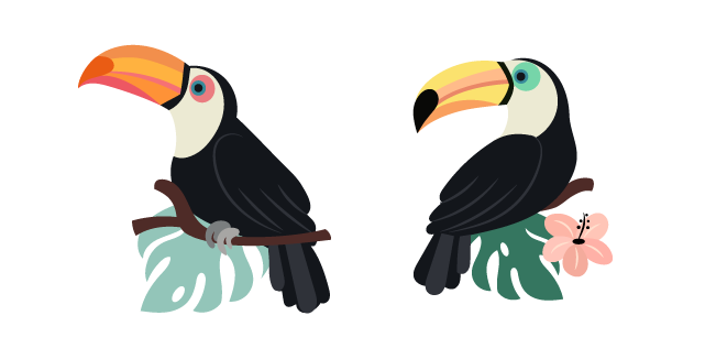 Toucans