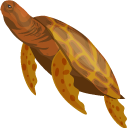 Turtle pointer