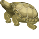 Turtle cursor