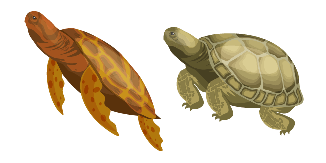 Turtle