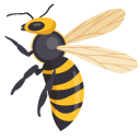 Yellowjacket Wasp pointer