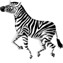 Zebra pointer