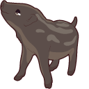 Fruits Basket Kagura Sohma pointer