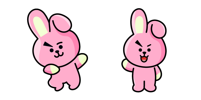 BTS BT21 Cooky