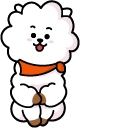 BTS BT21 RJ pointer