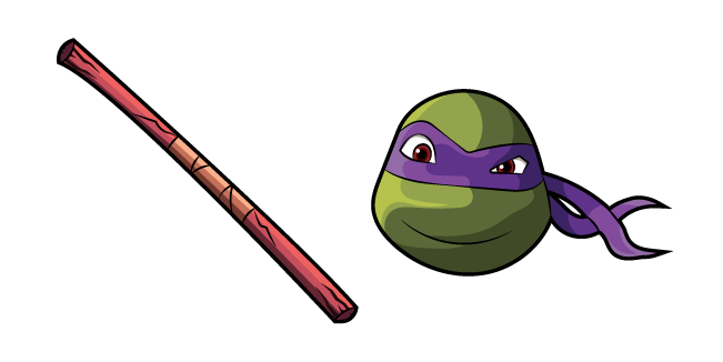Teenage Mutant Ninja Turtles Donatello