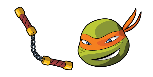 Teenage Mutant Ninja Turtles Michelangelo