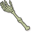 Centaurworld Gary Skeleton pointer