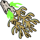 Centaurworld Nowhere King pointer