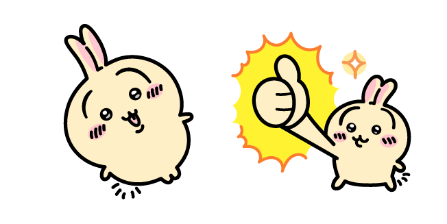 Kawaii Chiikawa Happy Usagi