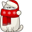 Christmas Cat and Costume pointer
