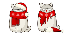 Christmas Cat and Costume