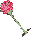 Little Prince and Rose pointer