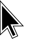 Classic Black pointer