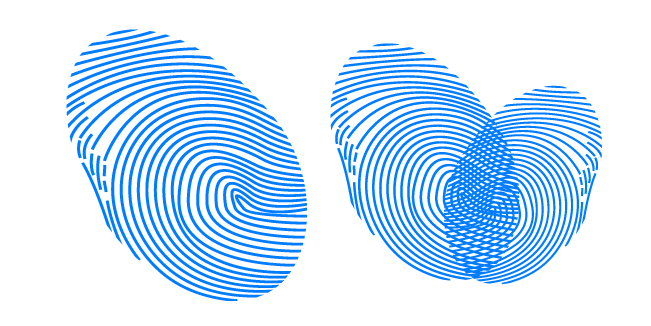 Fingerprint