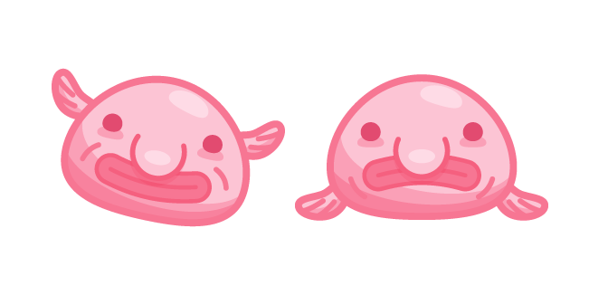 Cute Blobfish
