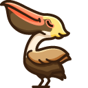 Cute Brown Pelican pointer