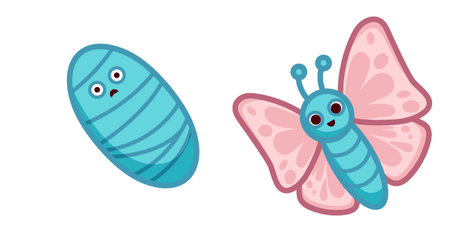 Cute Butterfly and Pupa