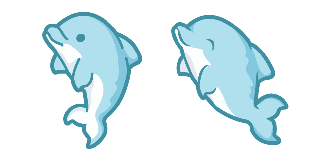Cute Dolphin