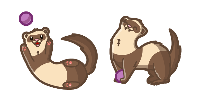 Cute Ferret
