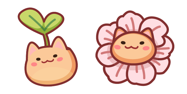 Cute Flower Cat